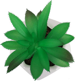 Artificial Dyckia Platyphylla Succulent