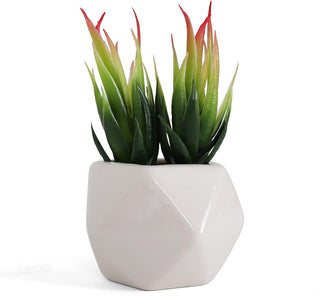 Artificial Aloe Microstigma Succulent