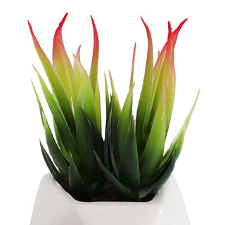 Artificial Aloe Microstigma Succulent