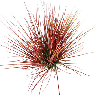 Red Grass Artificial Plant