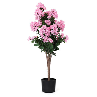 Potted Pink Hydrangea