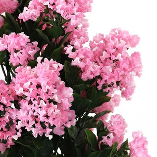 Potted Pink Hydrangea