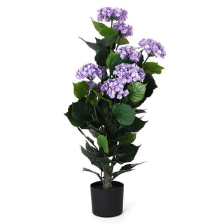 Potted Purple Lilac