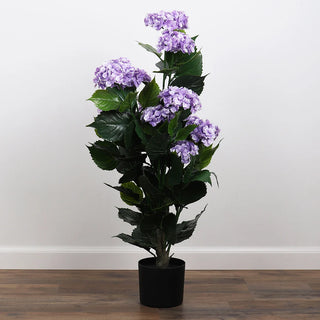 Potted Purple Lilac