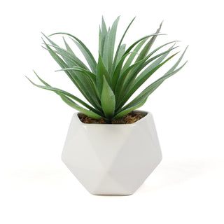 Artificial Agave Macroacantha Succulent