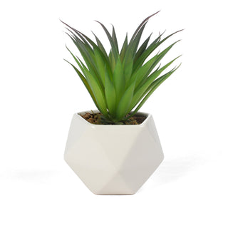 Artificial Agave Stricta Succulent