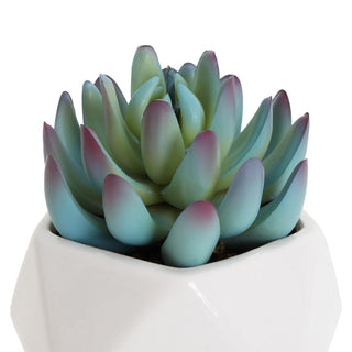 Artificial Graptoveria Succulent