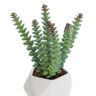 Artificial Crassula Marnierana Succulent