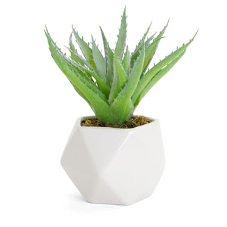 Artificial Flocking Aloe Succulent