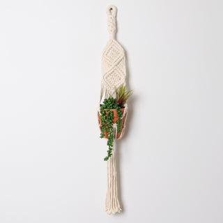 Macrame Plant Hanger - Boho Planter