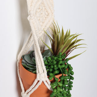 Macrame Plant Hanger - Boho Planter