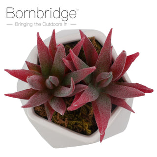 Bornbridge - Artificial Haworthia Succulent