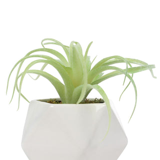 Artificial Tillandsia Succulent