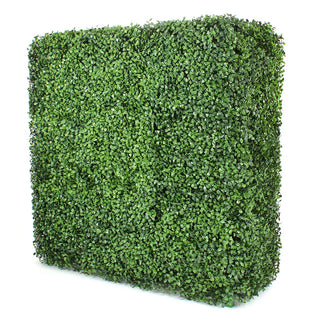 Square Boxwood Hedge Wall