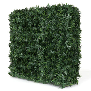 Square Cannabis Hedge Wall