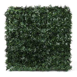 Square Cannabis Hedge Wall