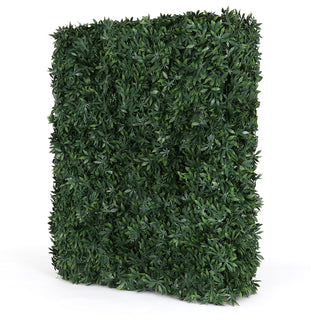 Rectangle Cannabis Hedge Wall