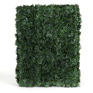 Rectangle Cannabis Hedge Wall