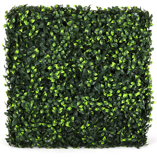 Square Gardenia Hedge Wall