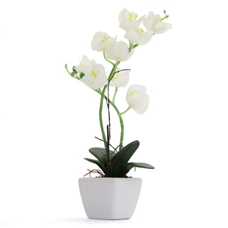 White Artificial Orchid - Medium