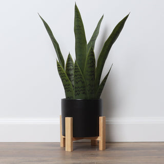 Medium Artificial Snake Plant with Mid Century Plant Stand