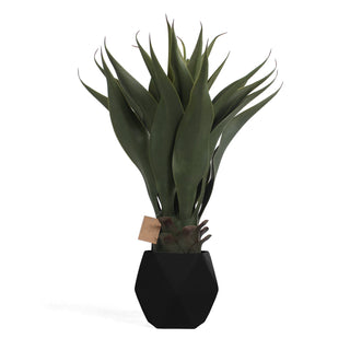 Artificial Agave - Black Planter