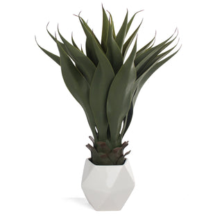 Artificial Agave - White Planter